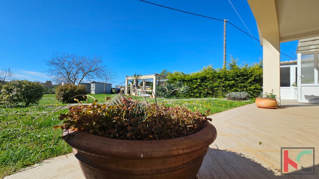 Image 6330703 - 2