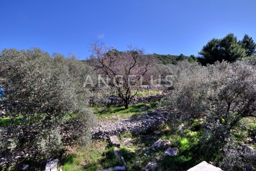 Image 6330757 - 9