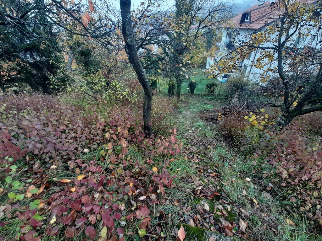 Image 6330794 - 8
