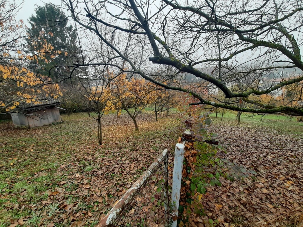 Image 6330794 - 4