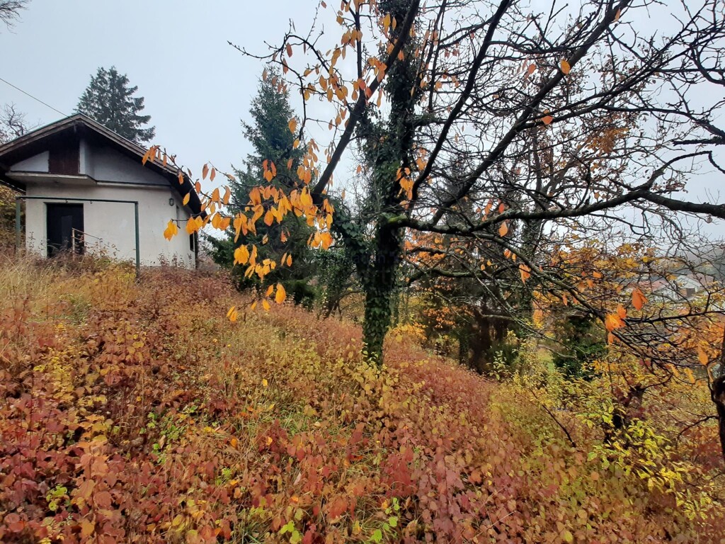 Image 6330794 - 3