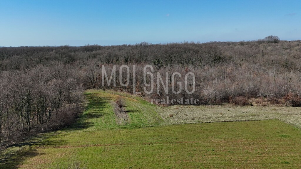 Image 6330799 - 7