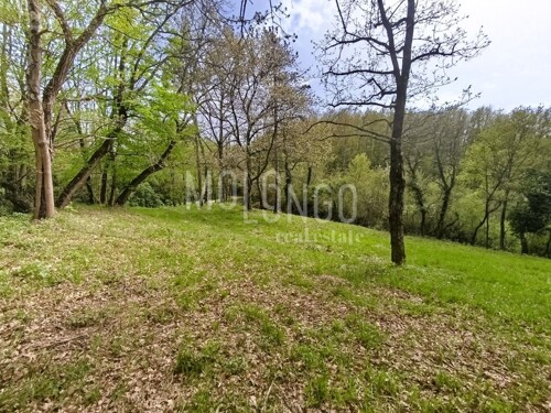 ISTRA, PAZIN - Građevinsko zemljište u mirnom naselju na rub