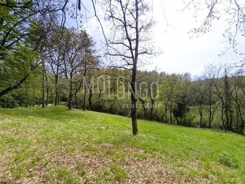 ISTRA, PAZIN - Građevinsko zemljište u mirnom naselju na rub