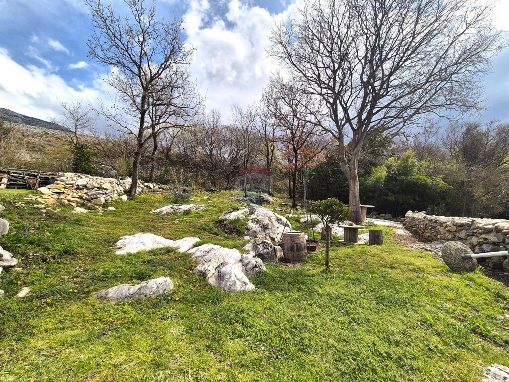 Image 6330864 - 18