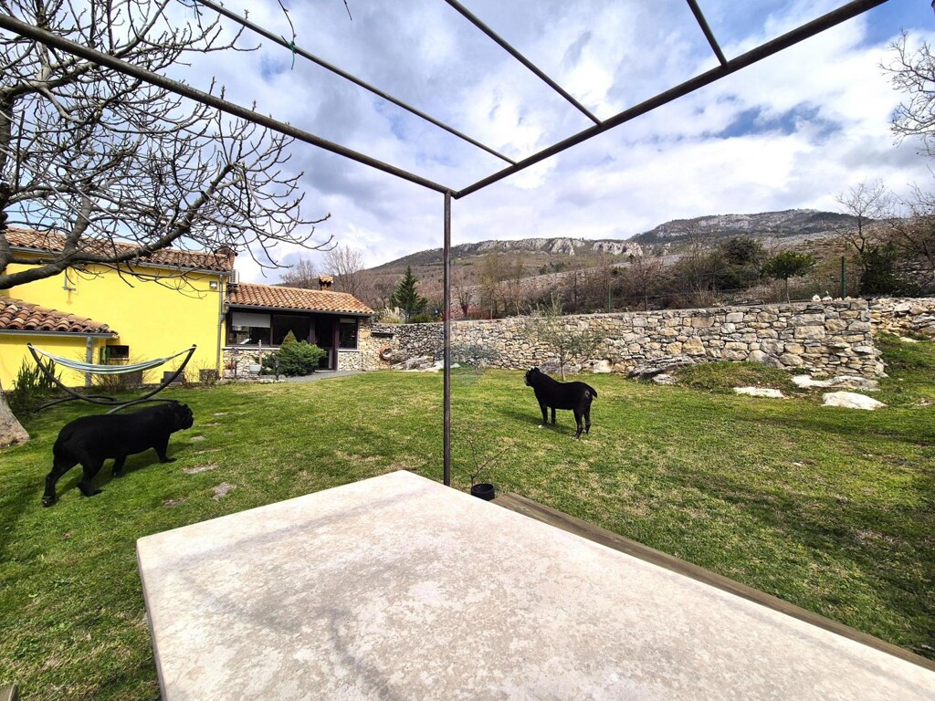 Image 6330864 - 15