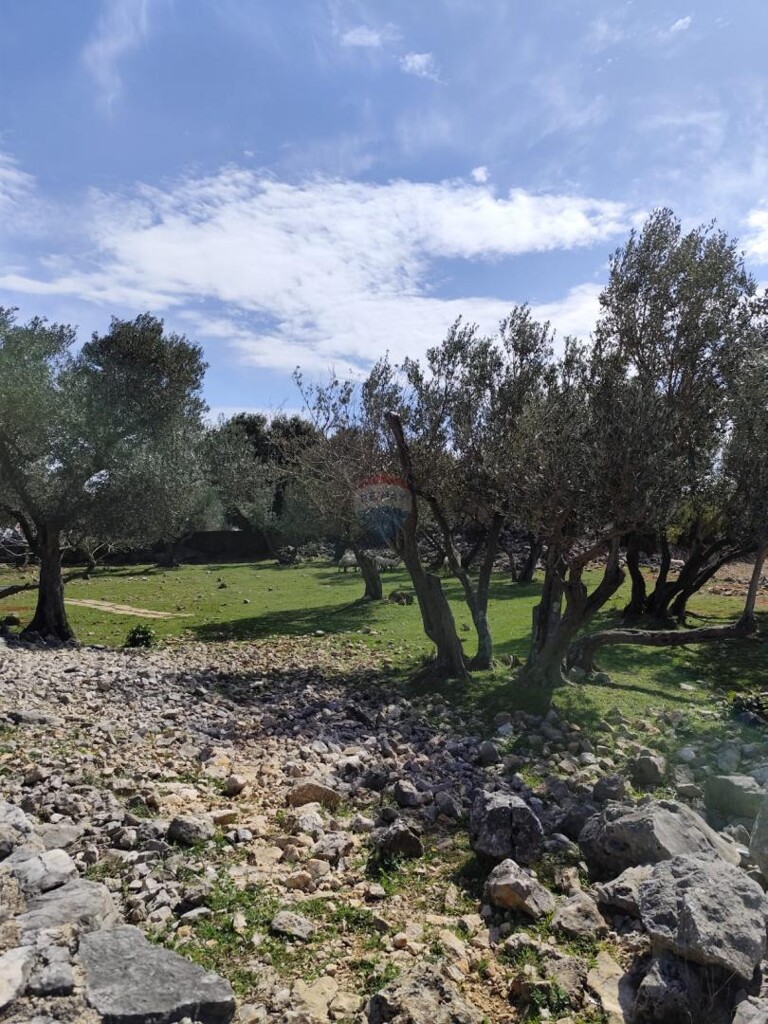 Image 6330867 - 15