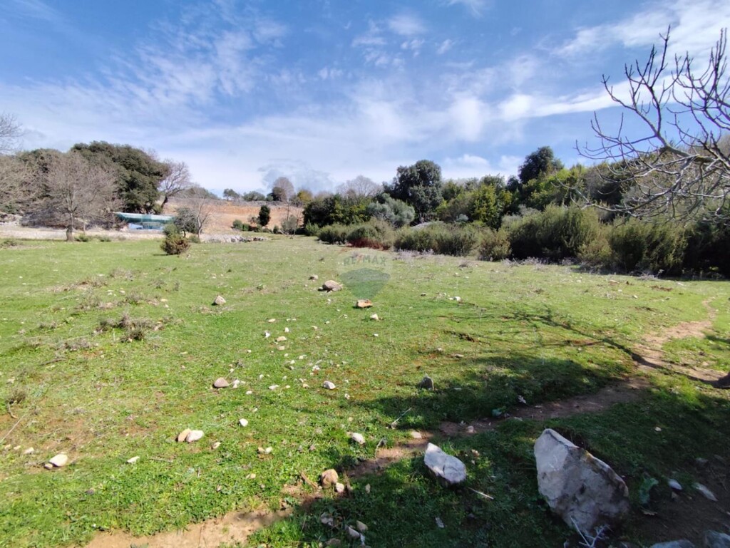 Image 6330867 - 1