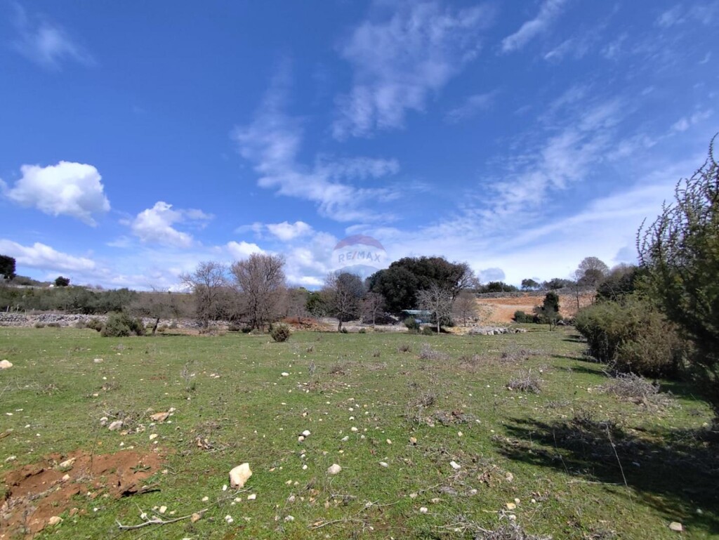 Image 6330867 - 2