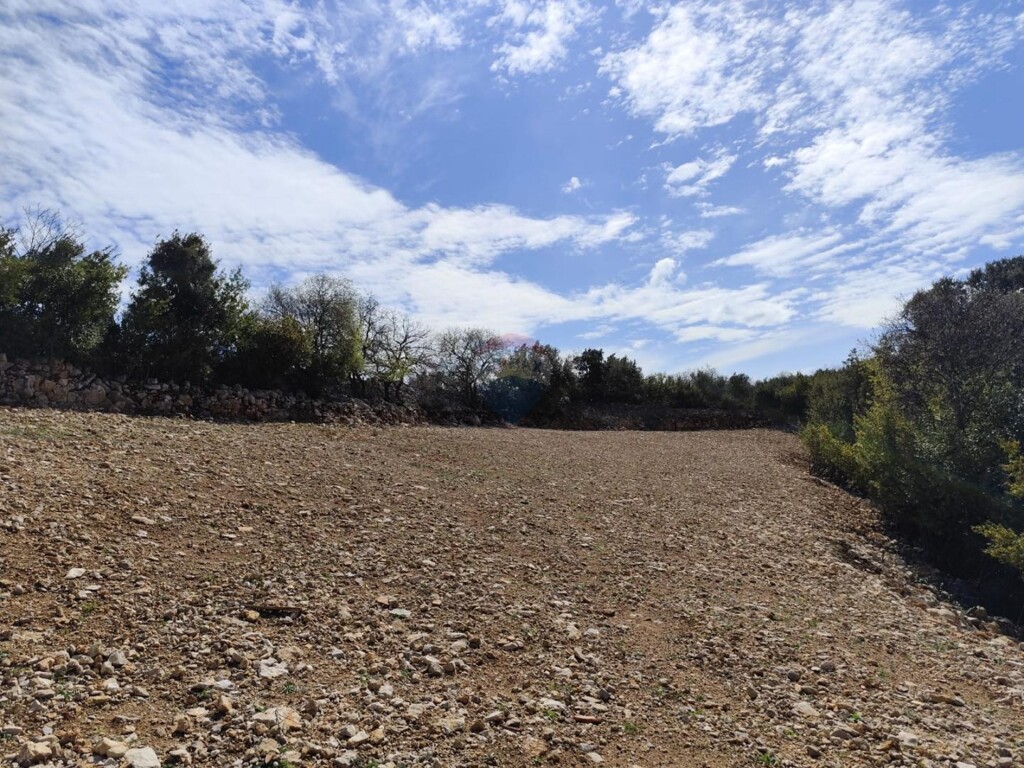 Image 6330867 - 9