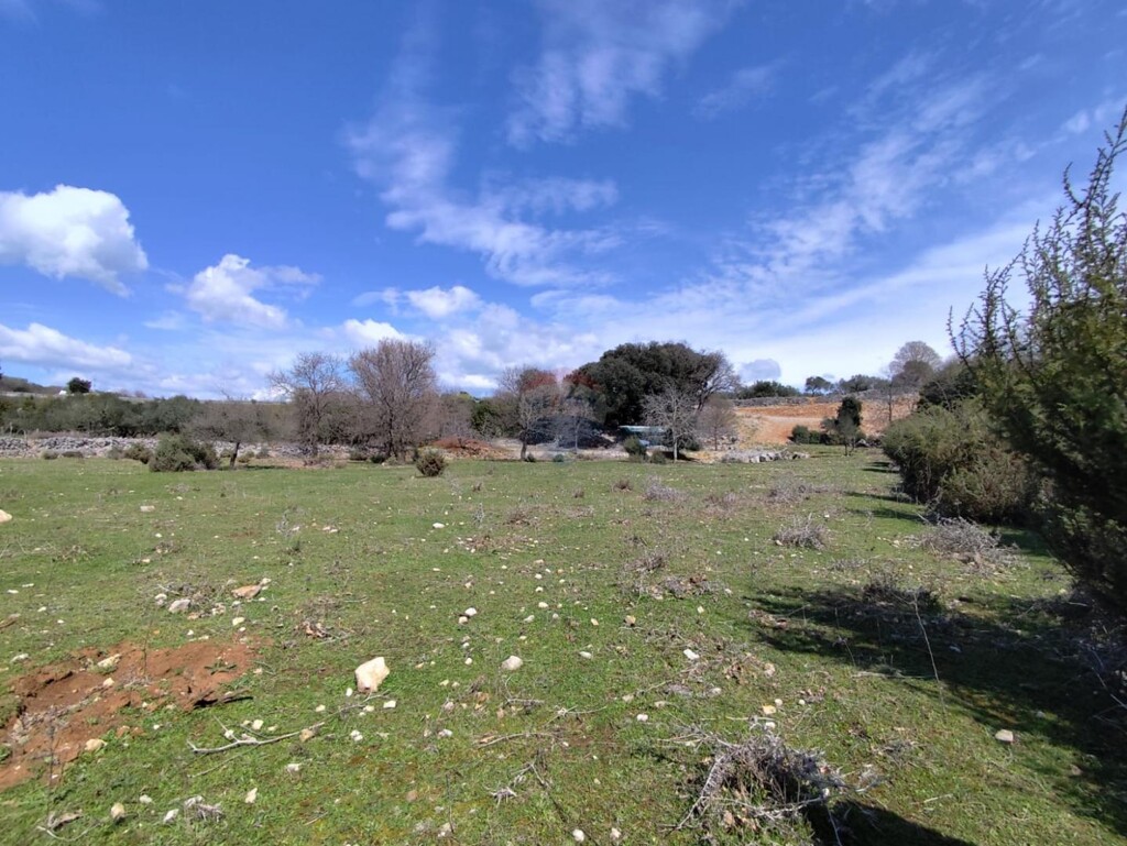 Image 6330867 - 13