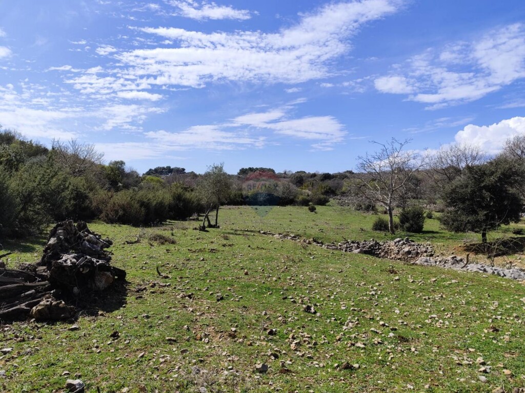 Image 6330867 - 10