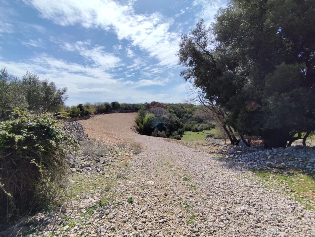 Image 6330867 - 4