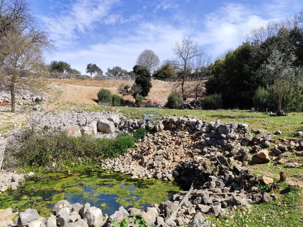 Image 6330867 - 12