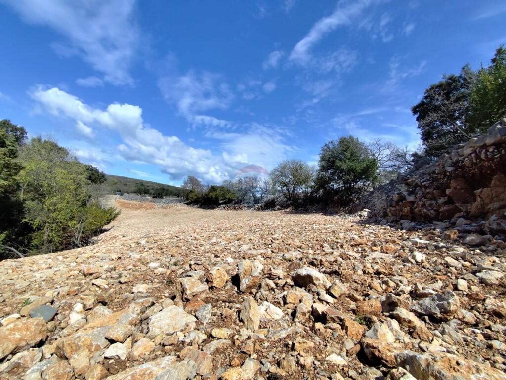 Image 6330867 - 7