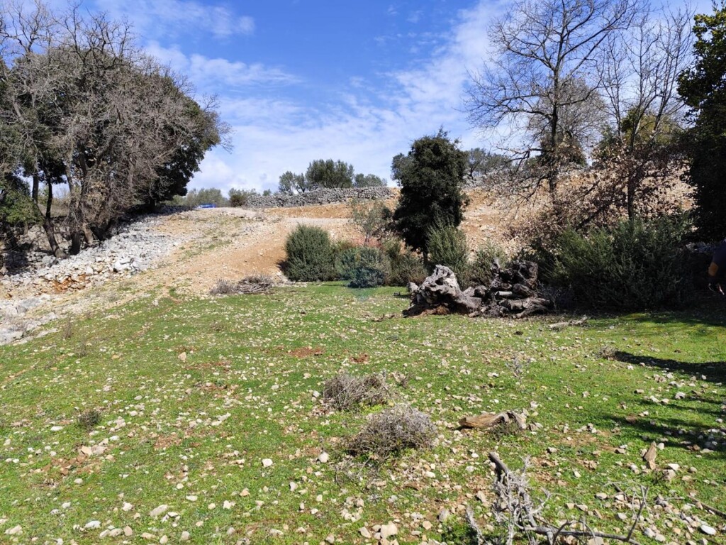 Image 6330867 - 11