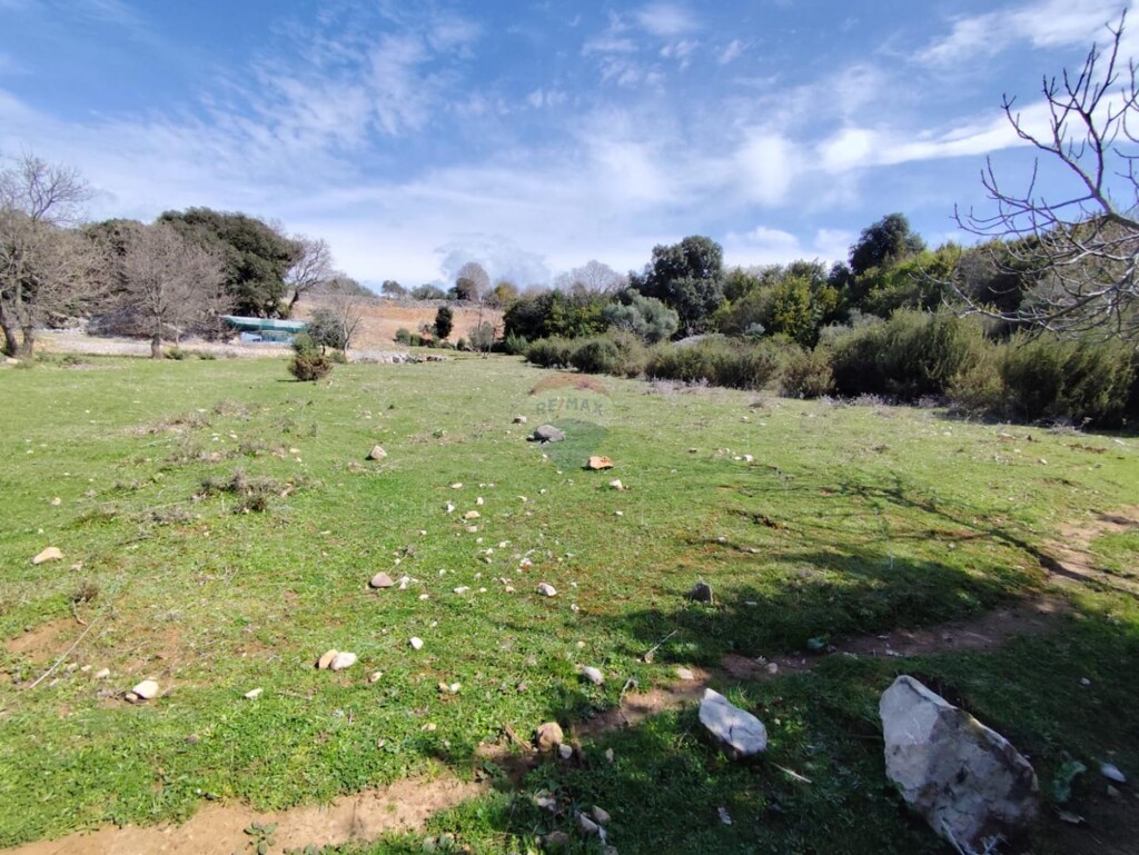 Image 6330867 - 14