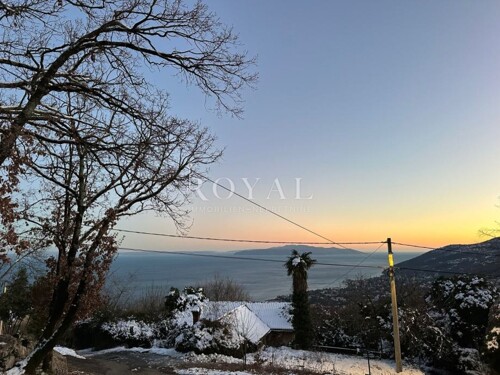 Thumbnail 6331122 - 3