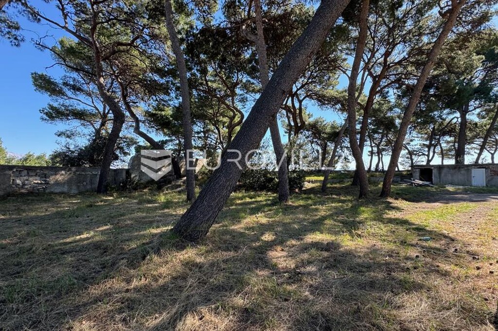Image 6331267 - 3