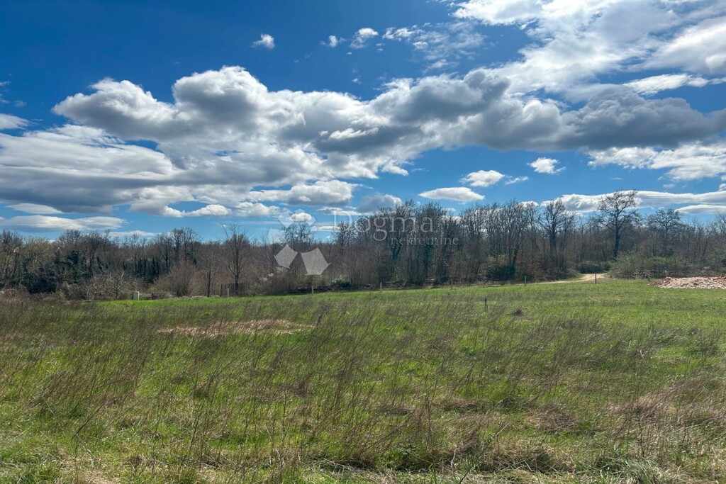 Image 6331279 - 3