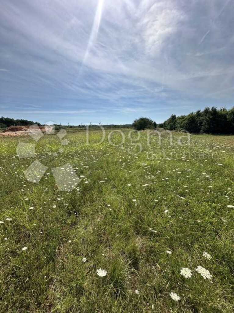 Image 6331302 - 1