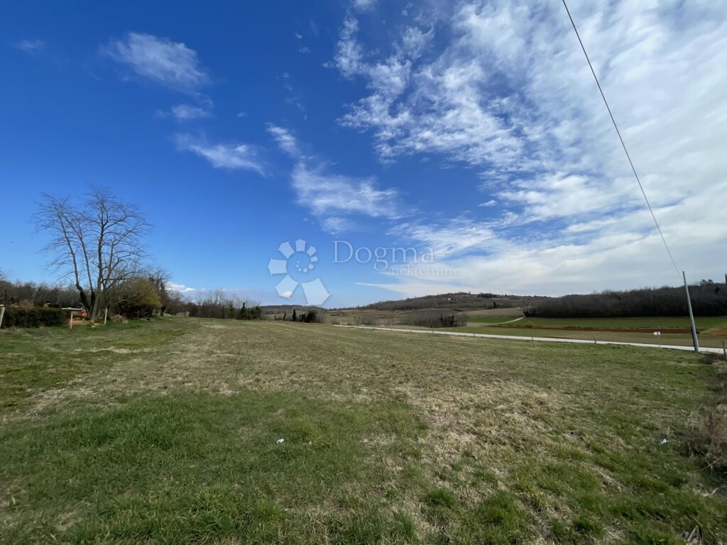 Image 6331308 - 1