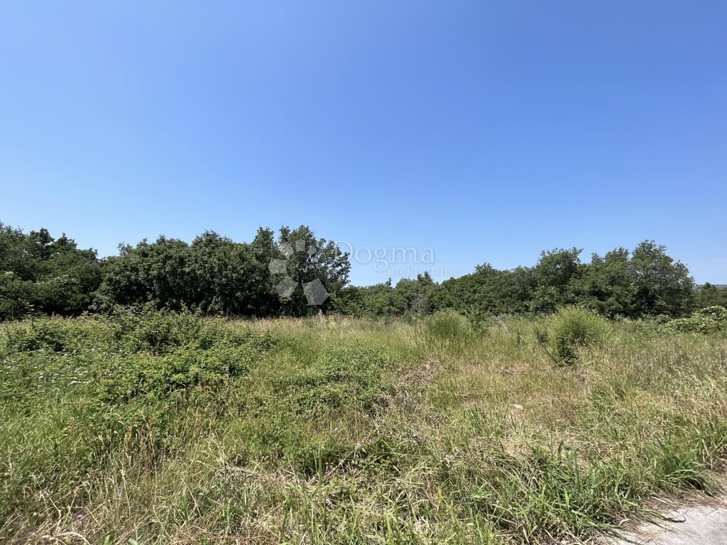 Image 6331309 - 5