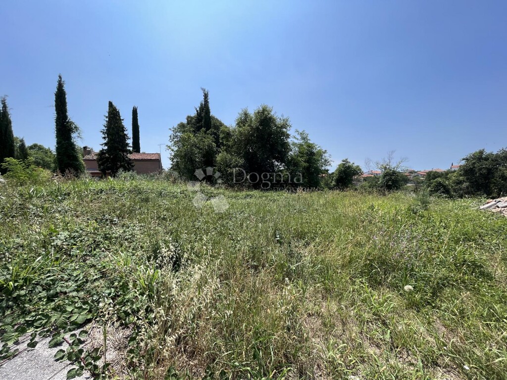 Image 6331309 - 3