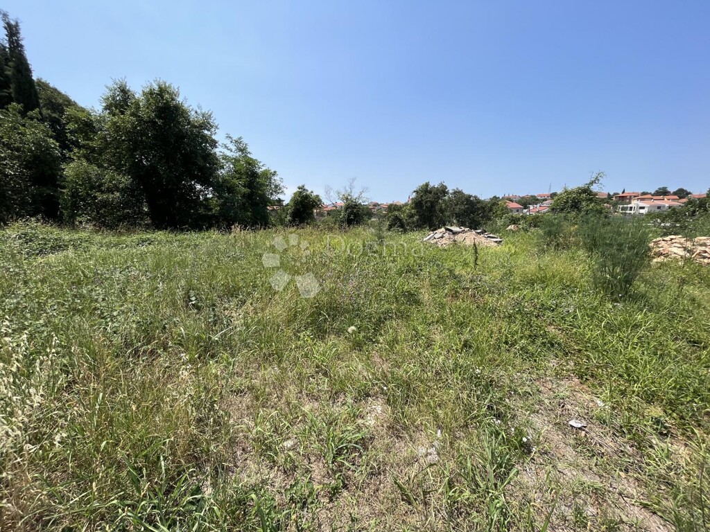 Image 6331309 - 2