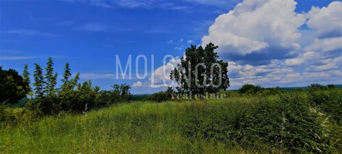 ISTRA, KANFANAR - Građevinsko zemljište 1458 m2 sa otvorenim