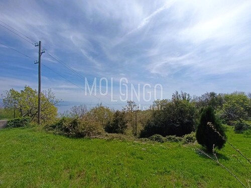 MATULJI, BREGI - Građevinsko zemljište 1147m2 sa pogledom na