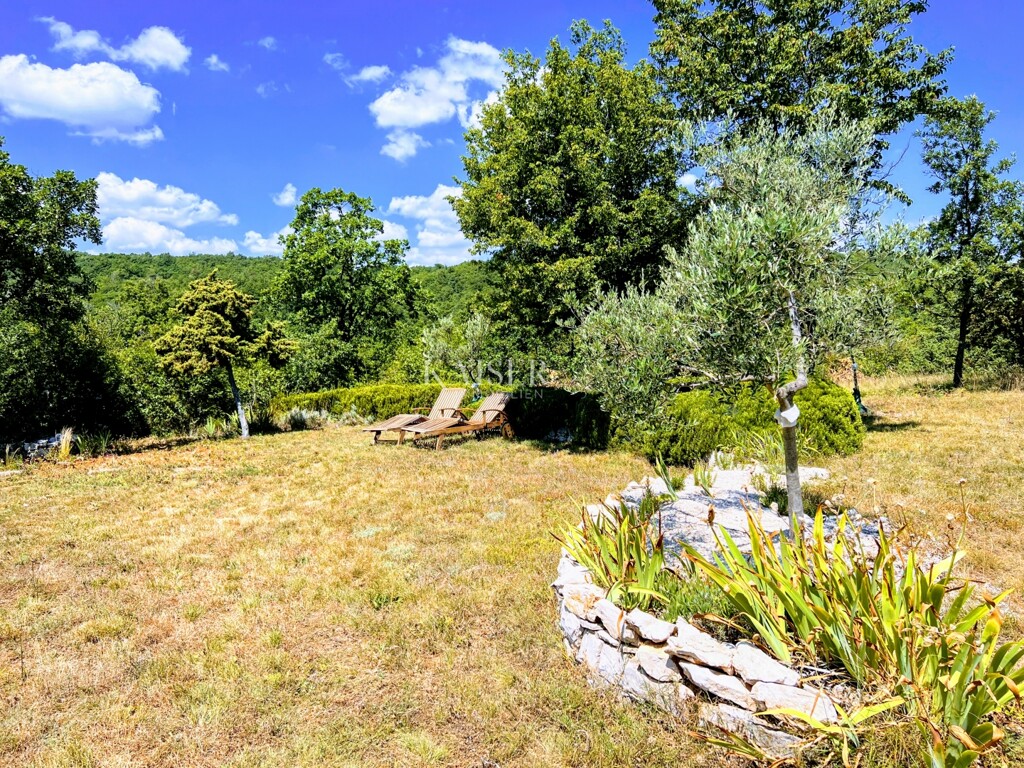 Image 6331414 - 5