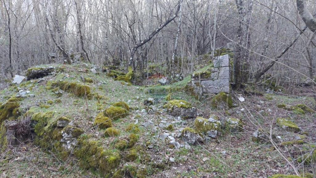 Image 6331472 - 3