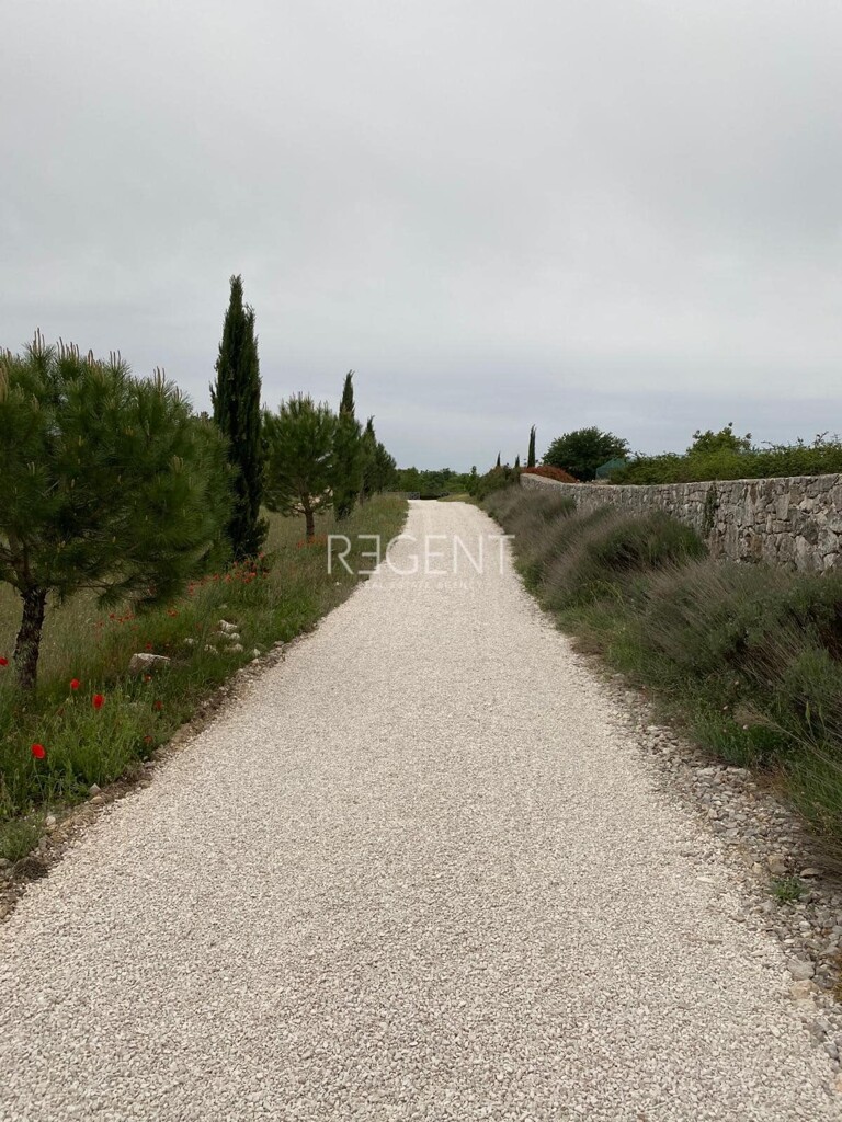 Image 6331522 - 14