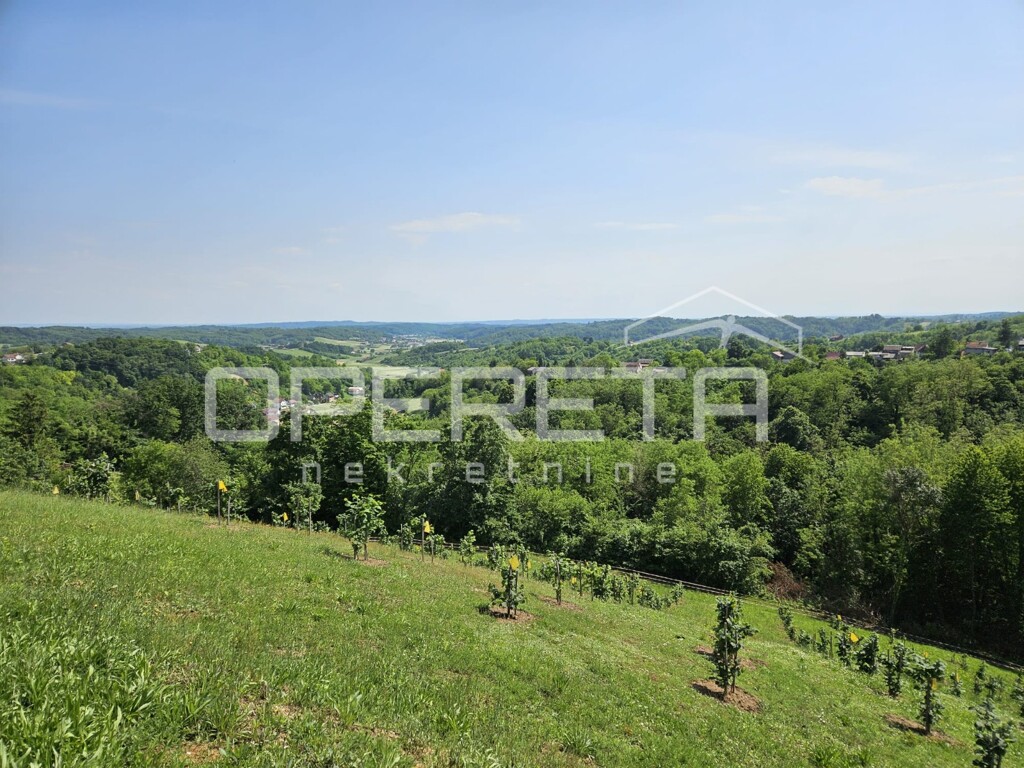 Image 6331755 - 19