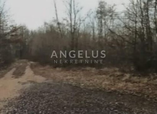 Thumbnail 6331785 - 4