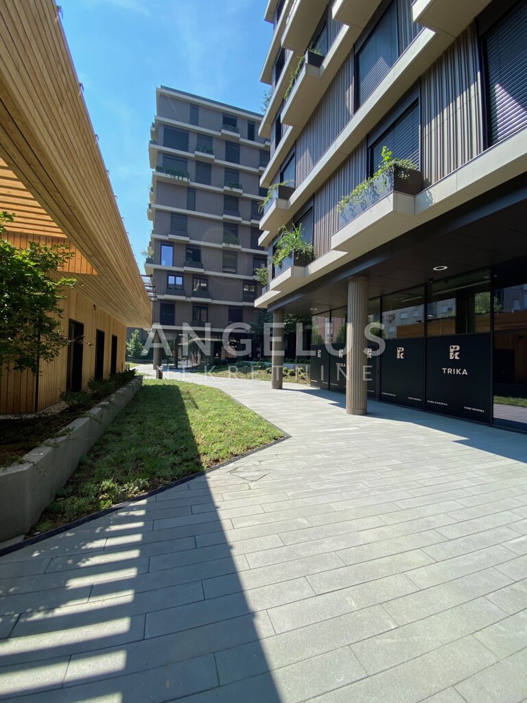 Image 6331786 - 16