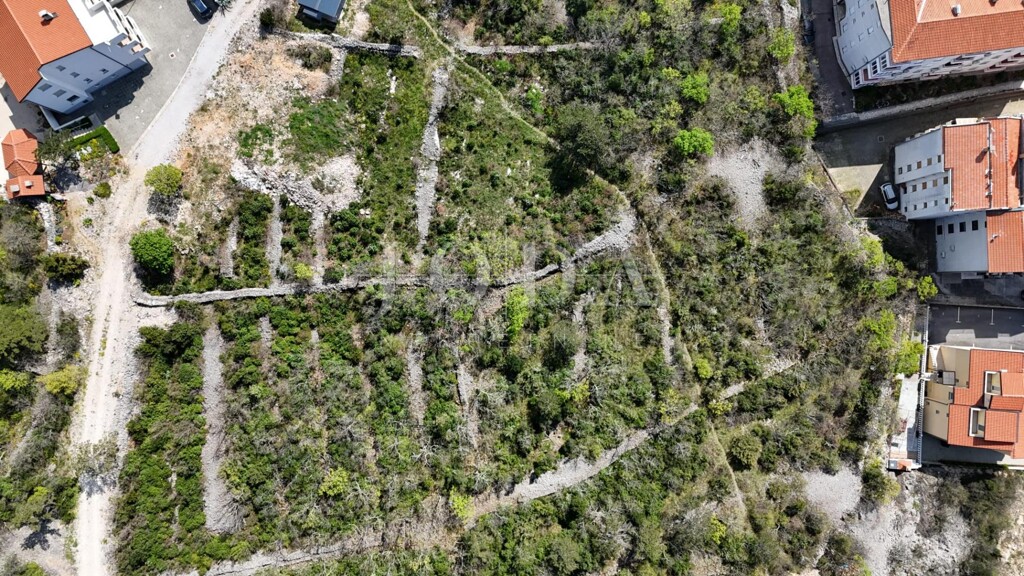 Image 6331850 - 7