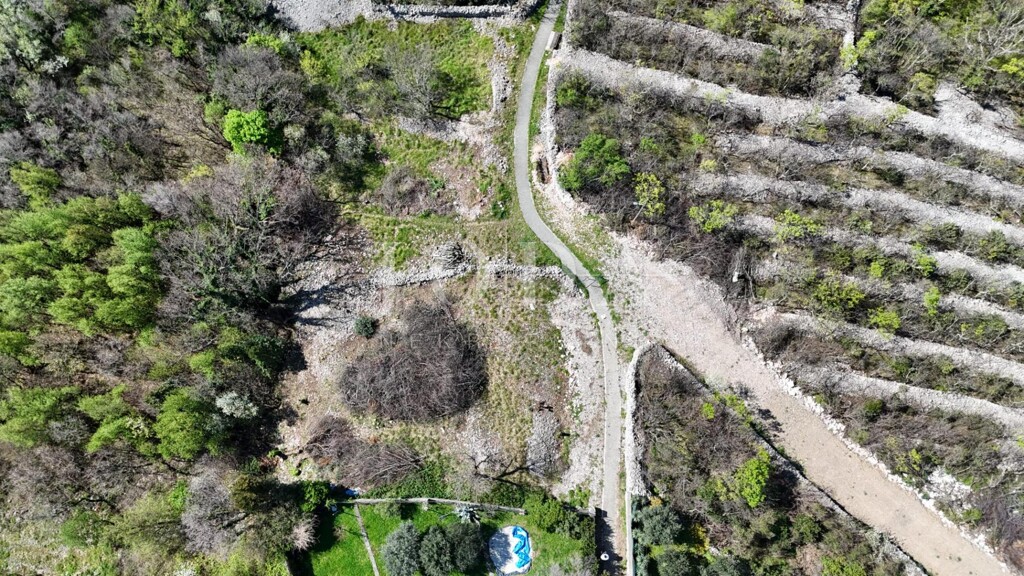 Image 6331852 - 7