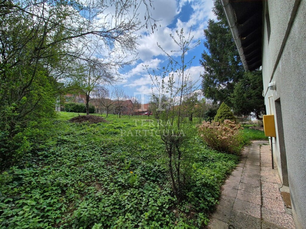 Image 6331879 - 11