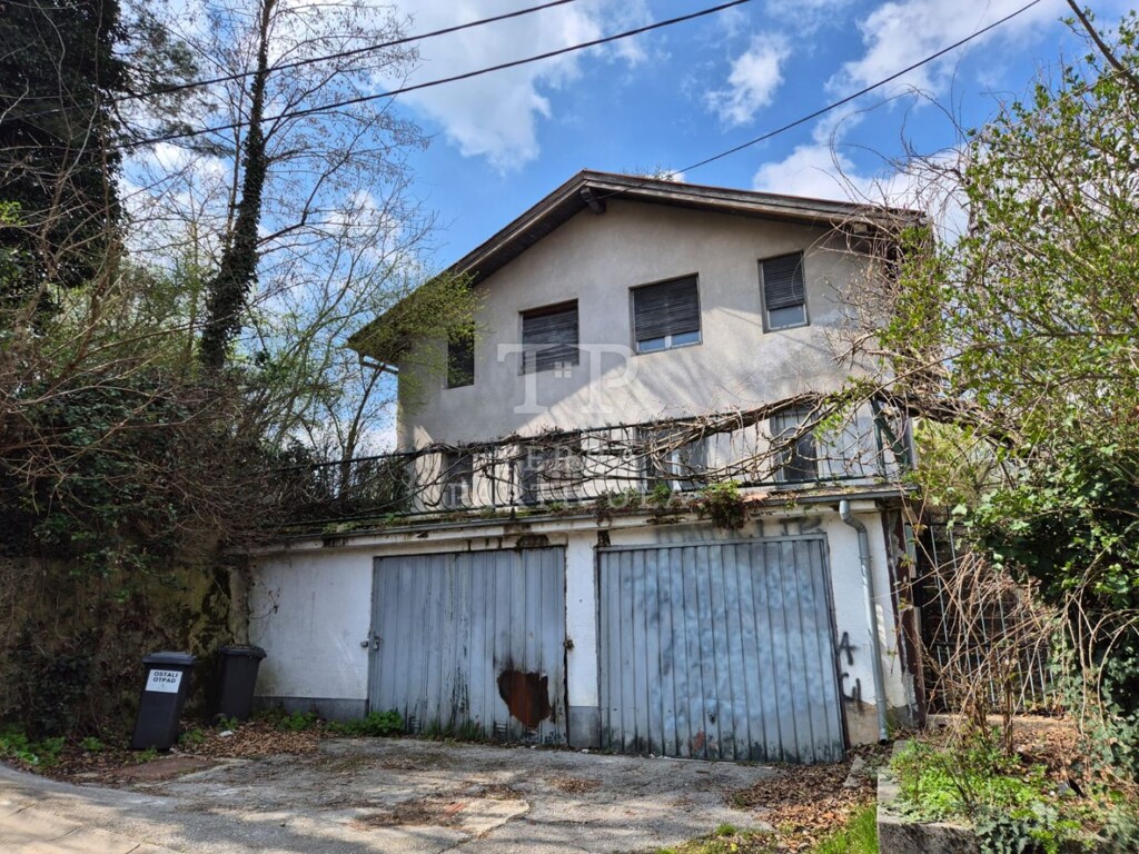 Image 6331879 - 1