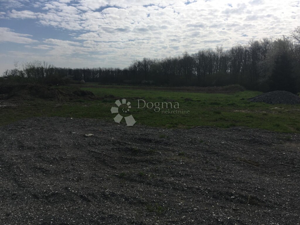 Image 6331903 - 6