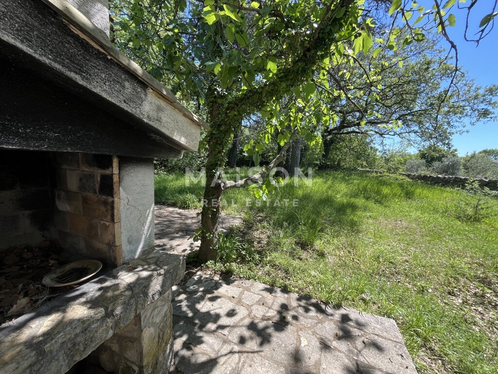 Image 6331953 - 22