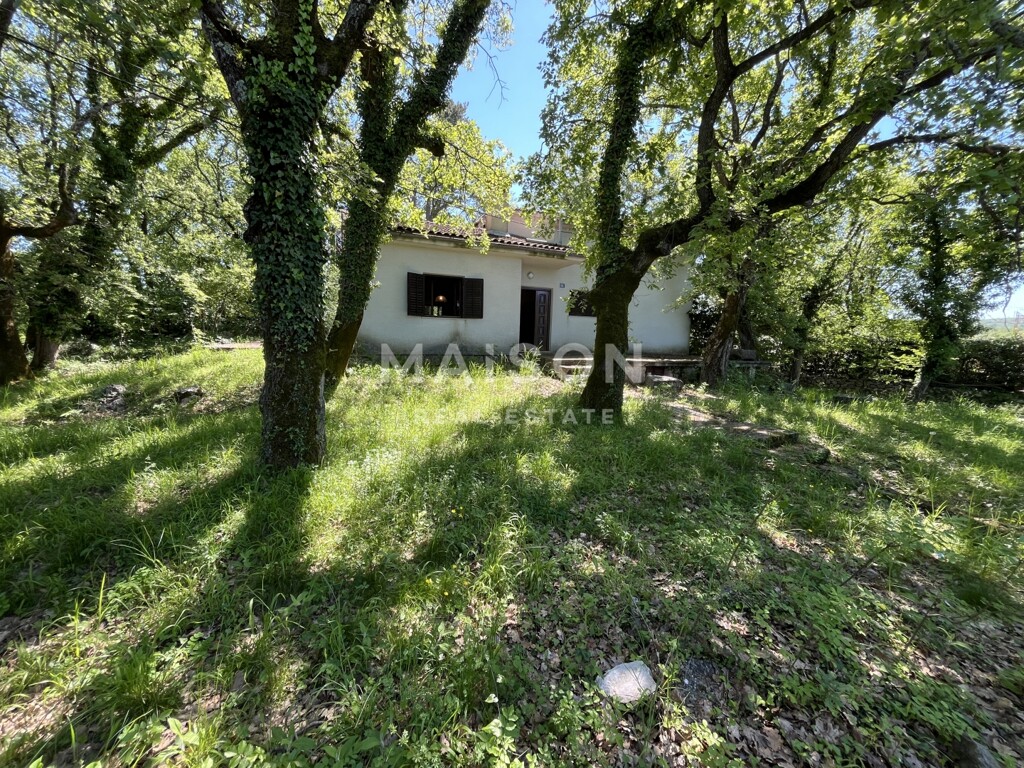 Image 6331953 - 3