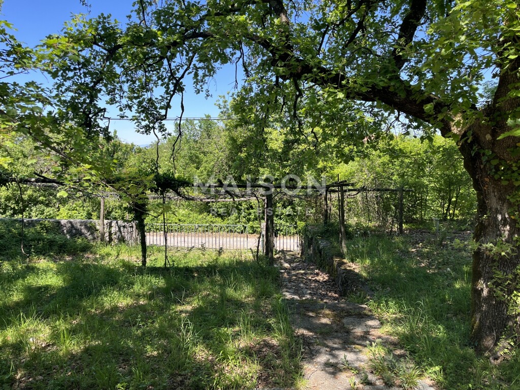 Image 6331953 - 1