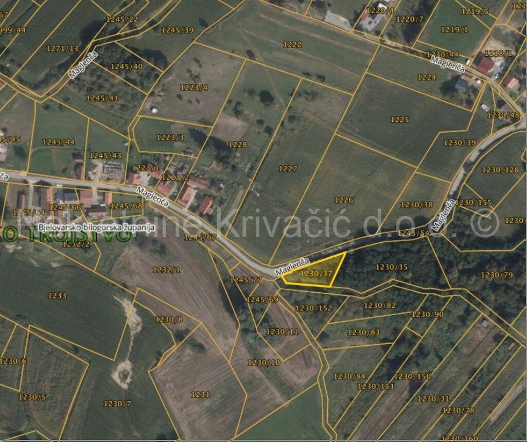 Image 6331958 - 2