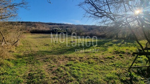 ISTRA, ŠUMBER poljoprivredno zemljište idealno za maslinik
