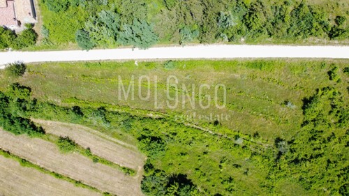 Thumbnail 6332021 - 12