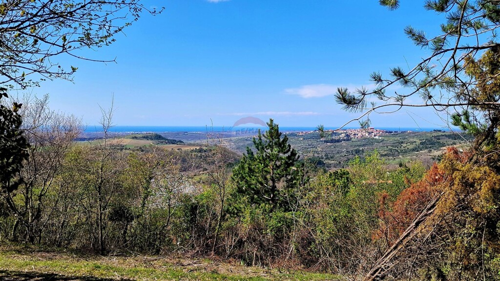 Image 6332054 - 3