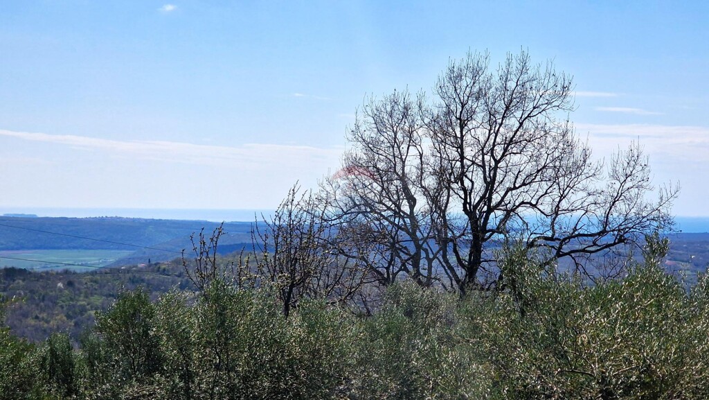 Image 6332054 - 9